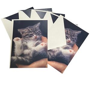 Kitten Cat Blank Hallmark Greeting Card Pet Love Lot of 6 w Envelopes